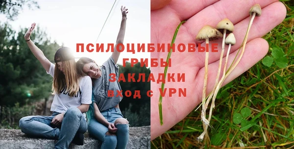 2c-b Кодинск