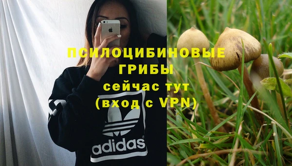 дурь Козловка