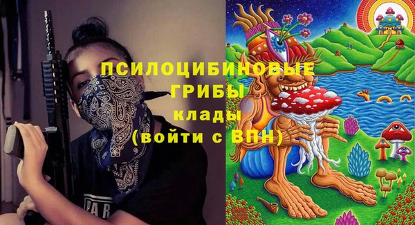 2c-b Кодинск