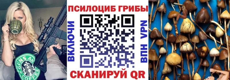 Купить закладки  Верея  Псилоцибиновые грибы прущие грибы 